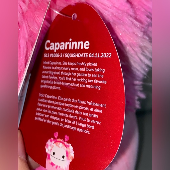 12” Squishmallows Caparinne Valentine’s Bigfoot Stuffed Plush - Picture 4 of 5